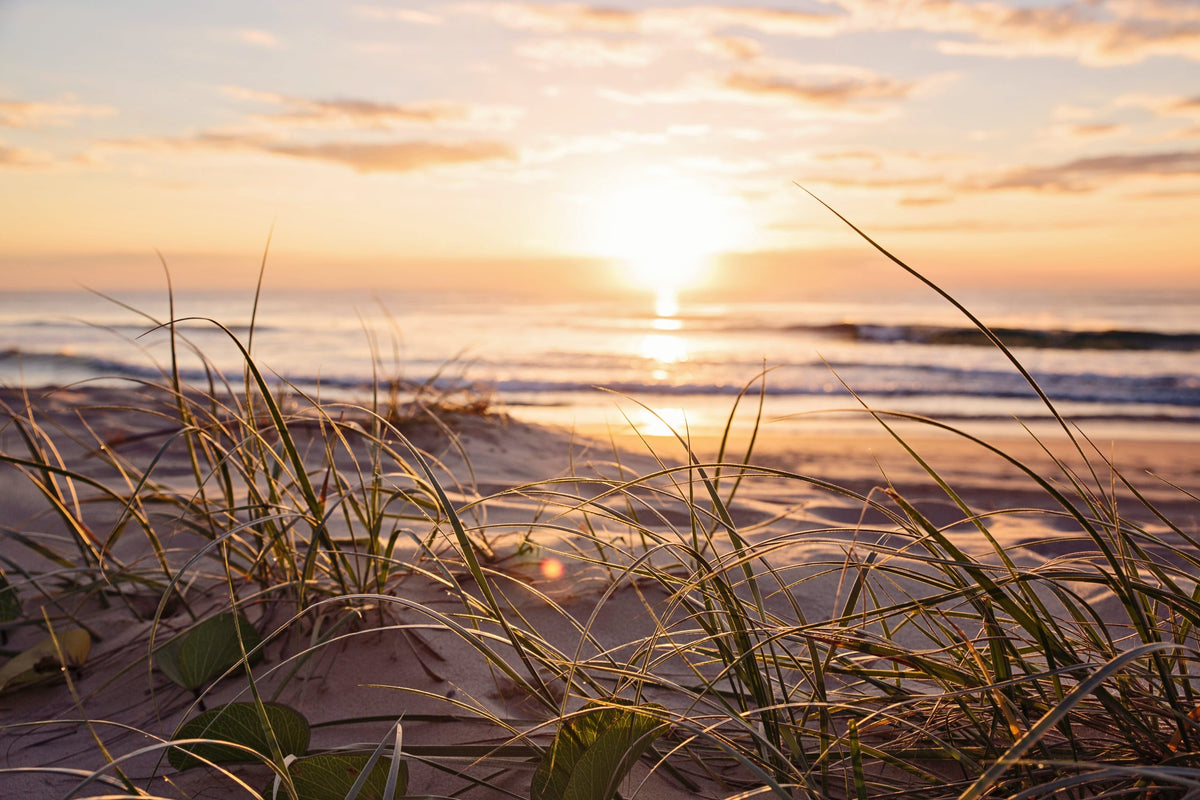 We Are Opening A Second Location In Semaphore