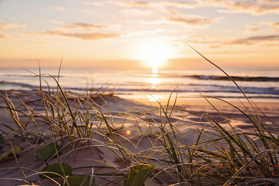 We Are Opening A Second Location In Semaphore